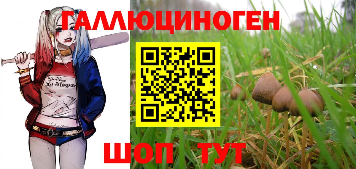 Галлюциногенные грибы GOLDEN TEACHER Усолье-Сибирское